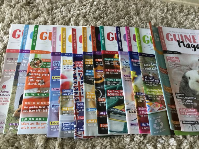 Guinea Pig Magazines