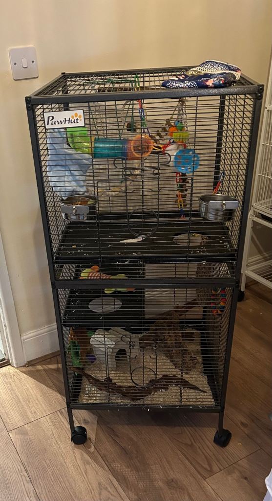 Animal cage 