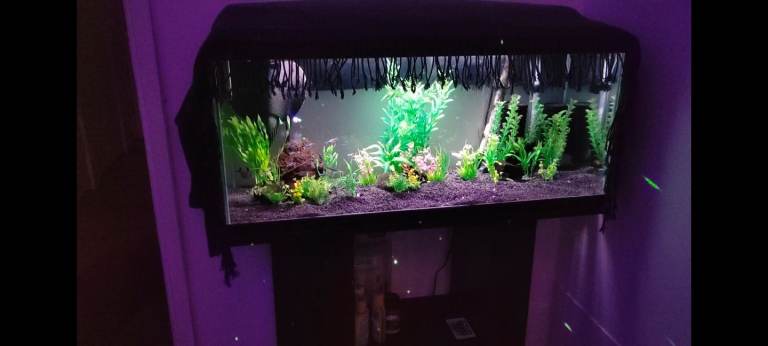 fish tank 80litres for sale all included