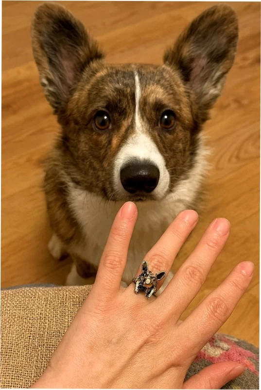 Uk size M corgi ring doggy #47
