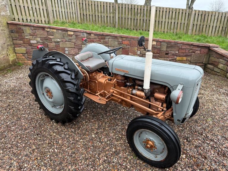 Ferguson35 tractor Goldbelly 