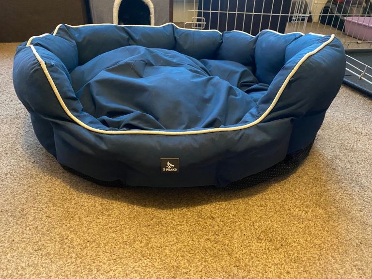 Blue dog bed