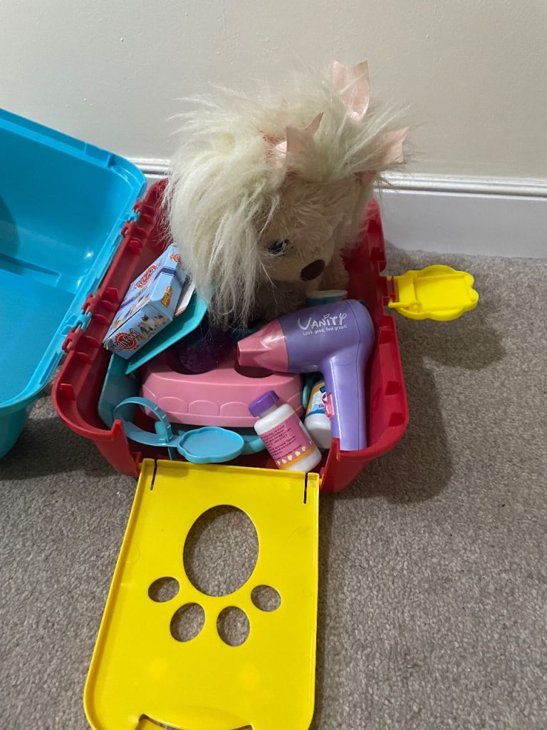 Dog with accessories and carrier