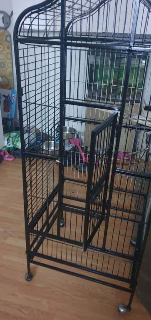 5ft black birdcage 