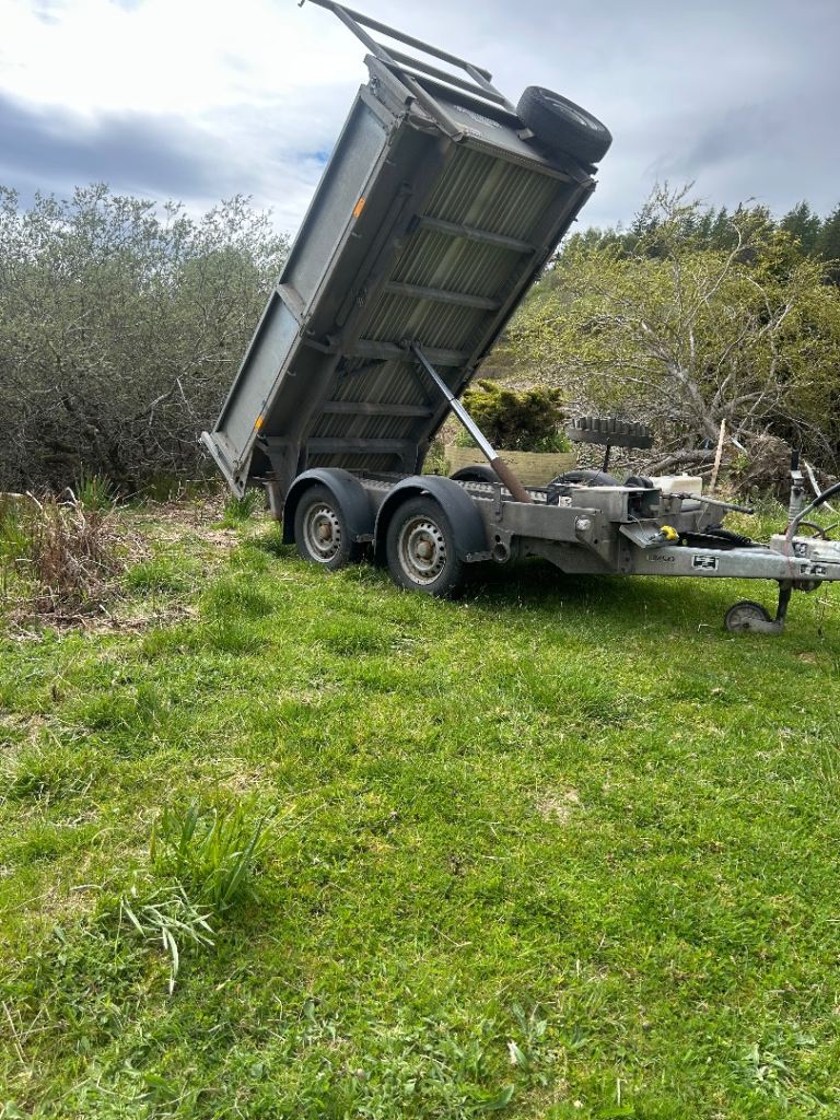Ifor Williams trailer Tipper 