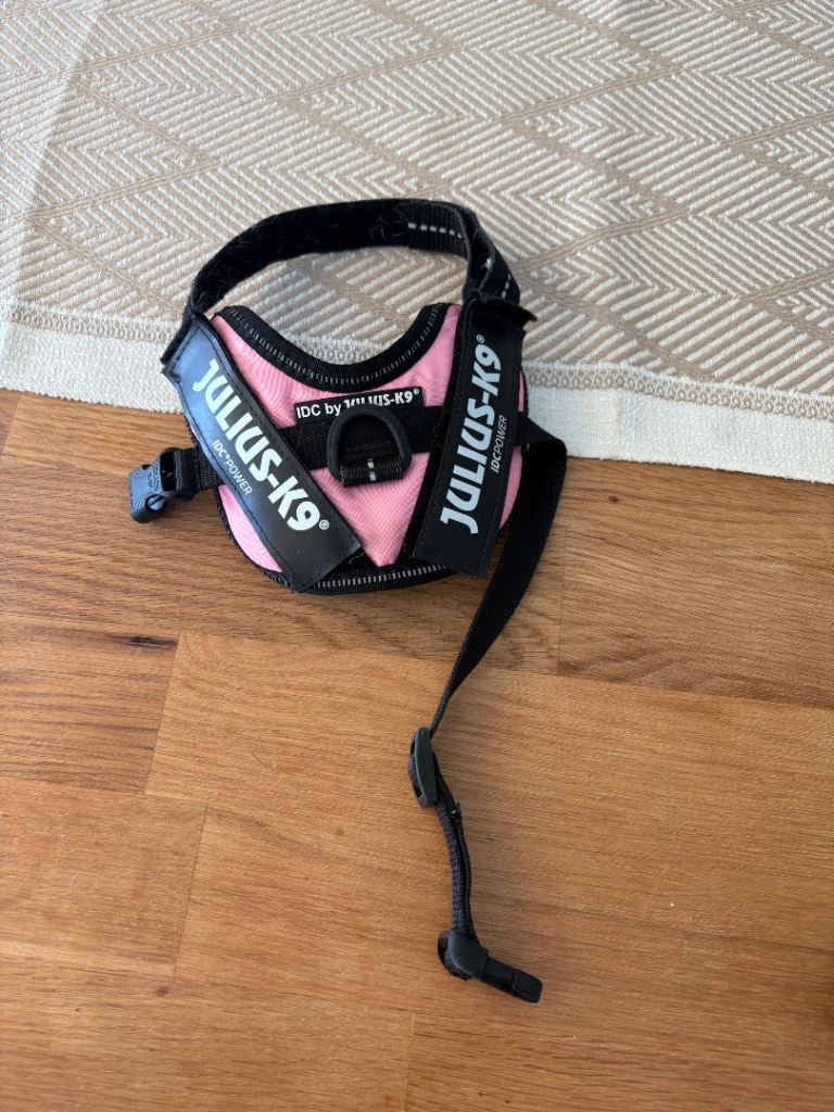 Julius-K9, 2xs dog harness 