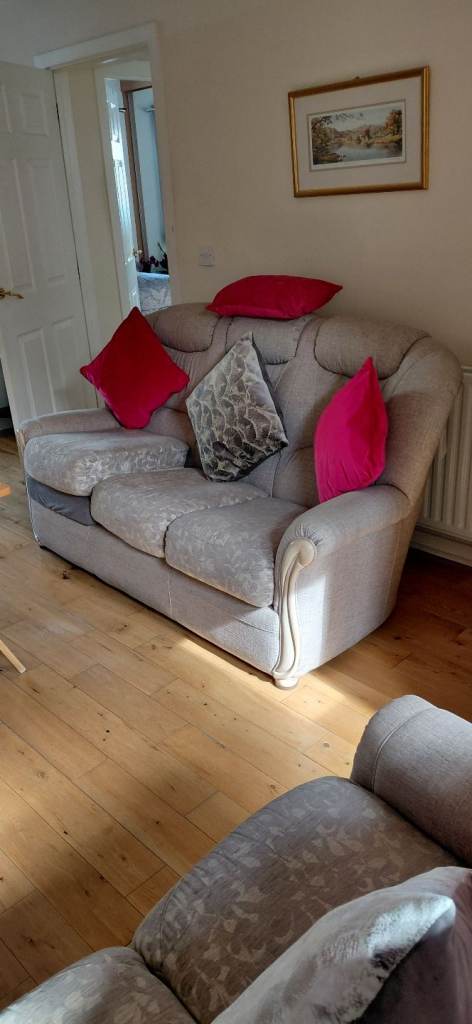 Two Sofas and Chair Bargain 
