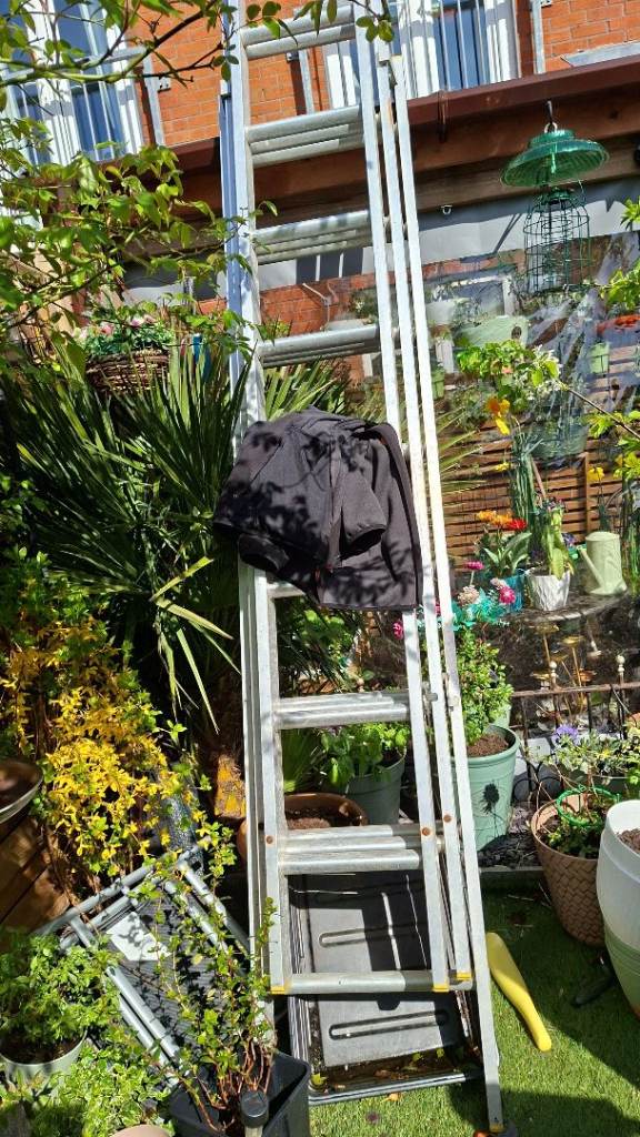 Tripple Ladders 13 Run