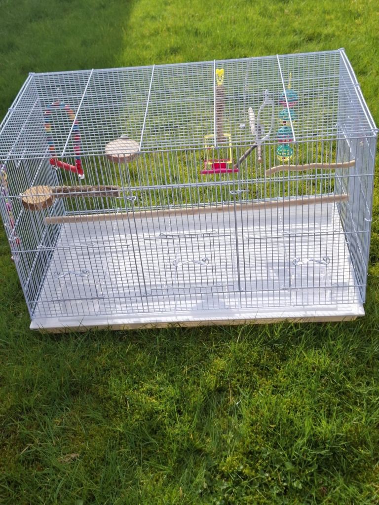 Budgie Cage