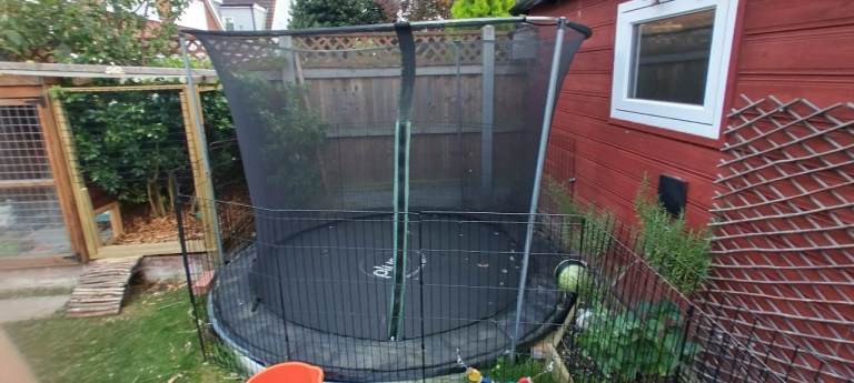 6ft plum trampoline 