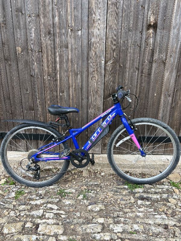 Carrera Kids Mountain Bike - Blue, 7 Speed