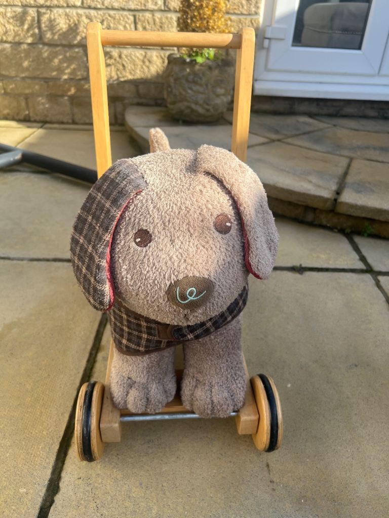 Child’s dog toy walker