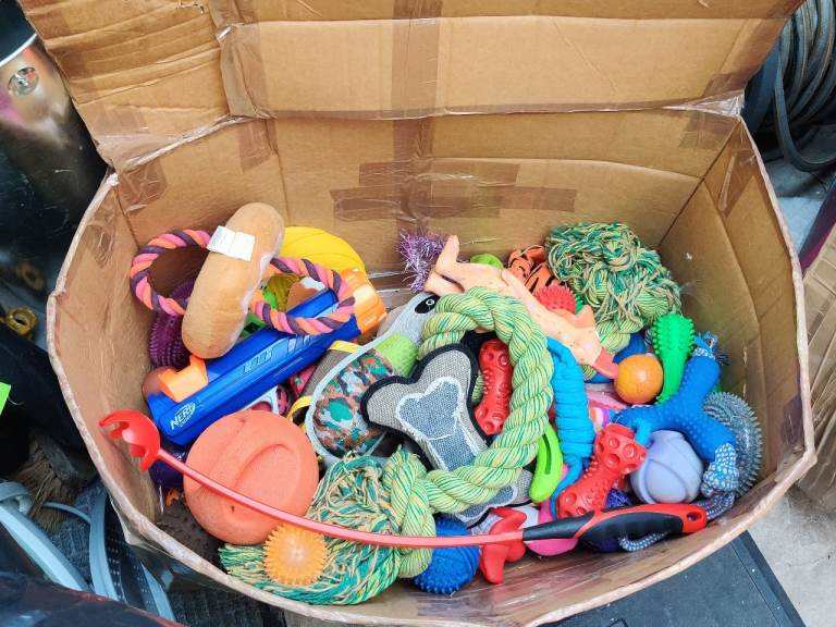 Large Box of Dog Toys – Mixed Condition, Various Types