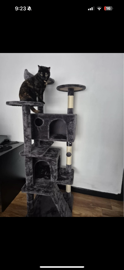 Brand new - 138.5cm cat tree tower for indoor cats kitten favourite scratching post climbing 