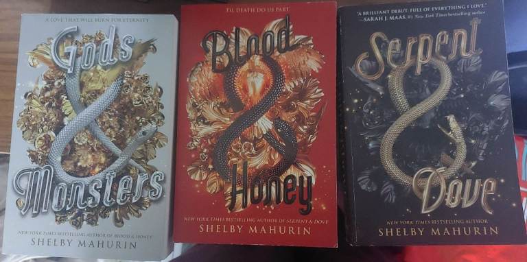 Serpent & Dove Trilogy by Shelby Mahurin – As Good As New