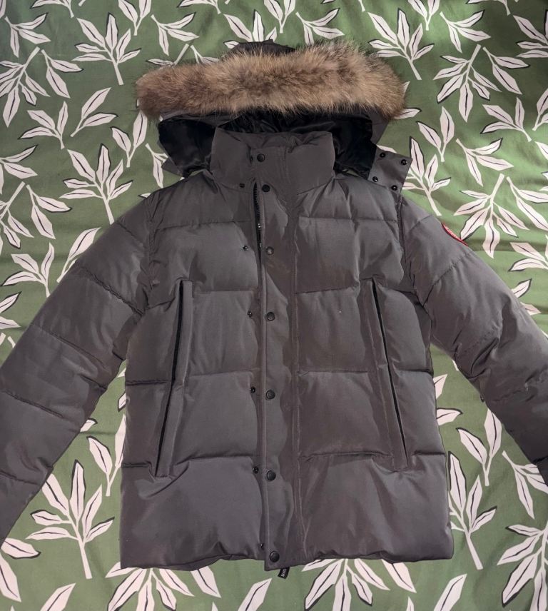 image for Canada goose (grey colour) size M 
