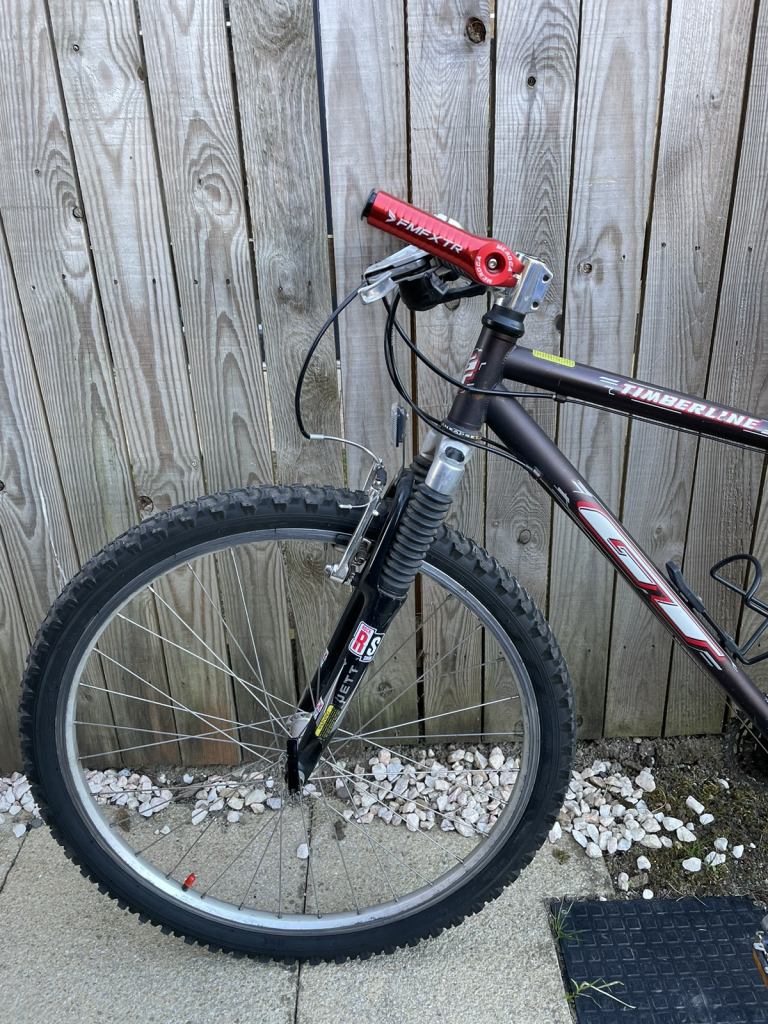 GT Timberline Retro Bike 