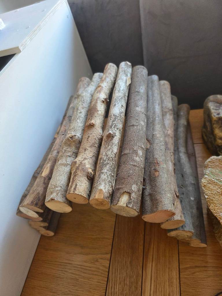 Vivarium stuff