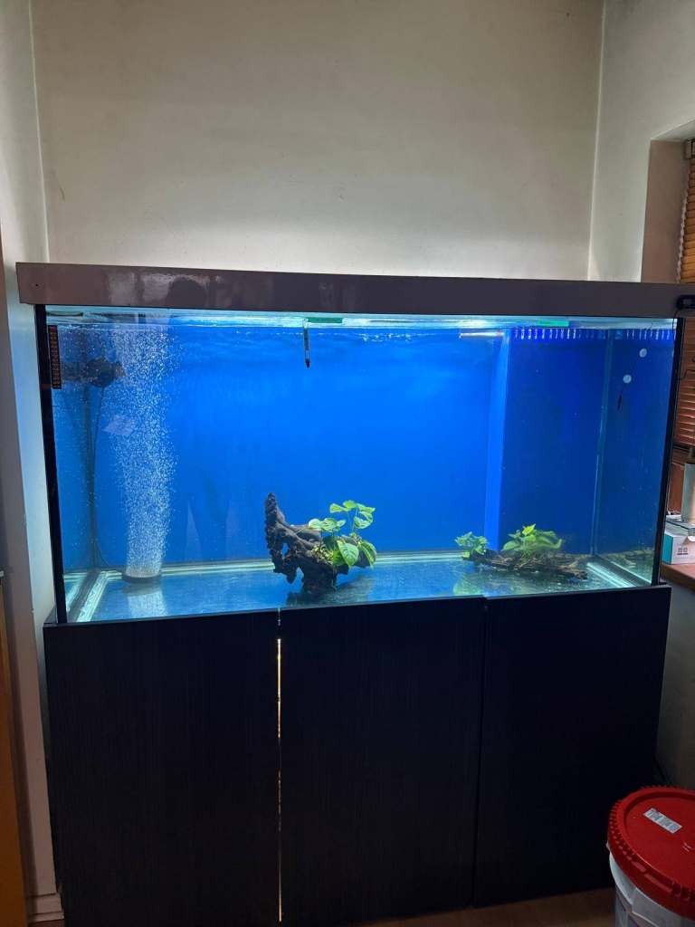 5 ft fish tank with sump and cabinet