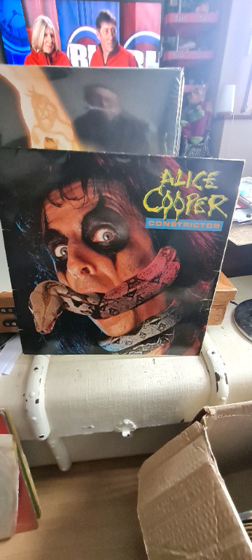 Record Alice Cooper Constrictor