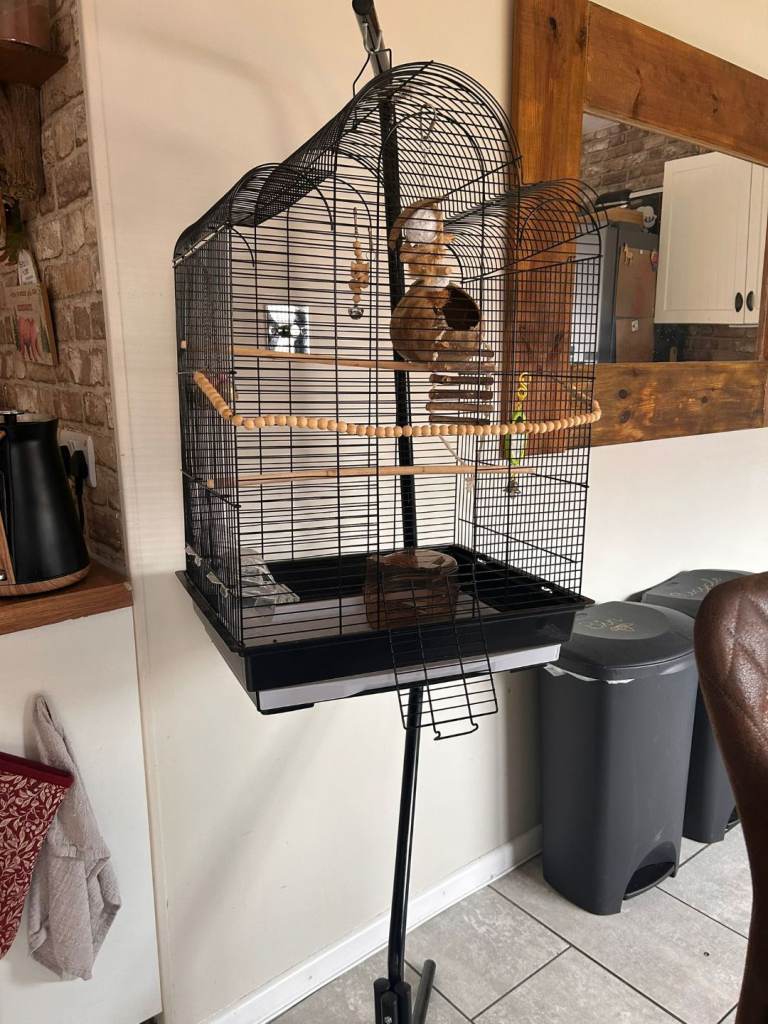 Budgie cage with stand and accessories 