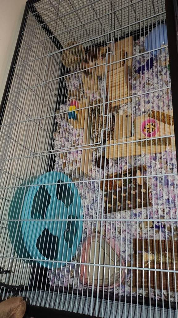 Savic Plaza 120 hamster/mouse cage. Almost new! 
