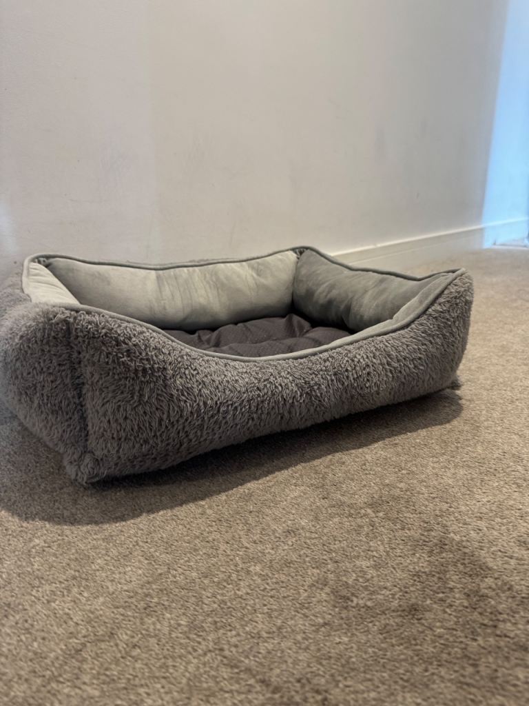 Dog bed free