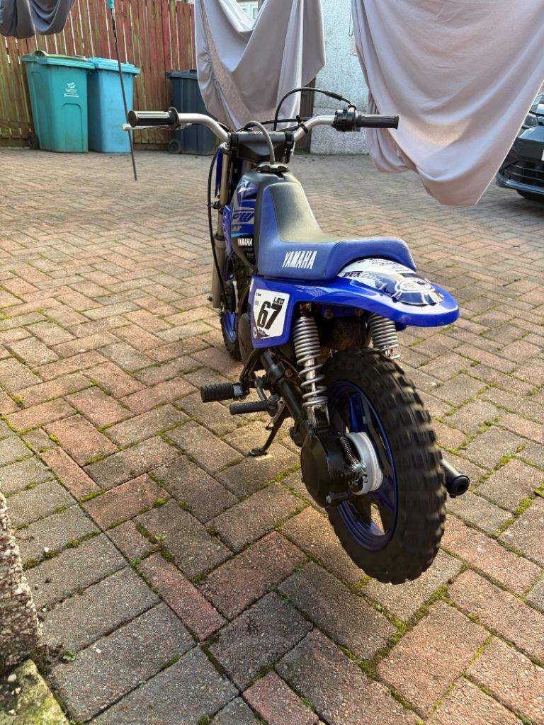 Pw50 2020