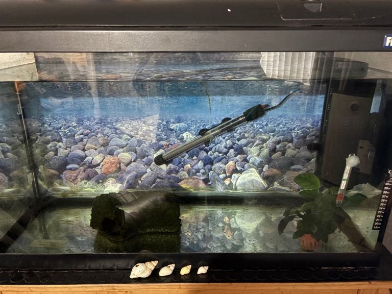 Fluval fish tank 
