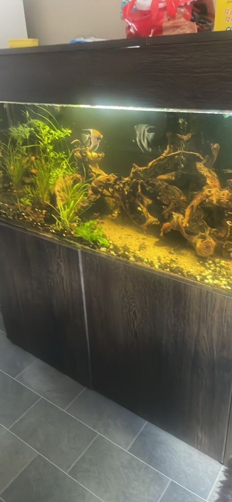 Aquarium Fish Tank with Stand – Good Condition