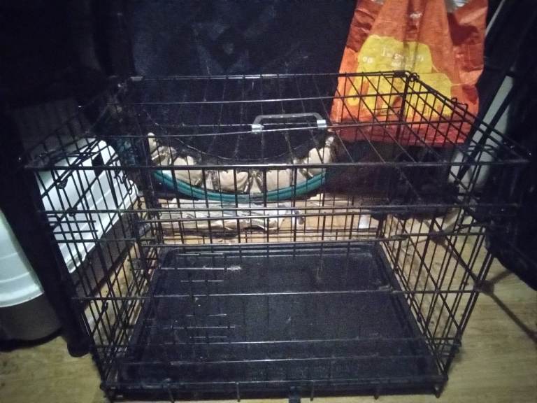 Pet crate foldable 2 available