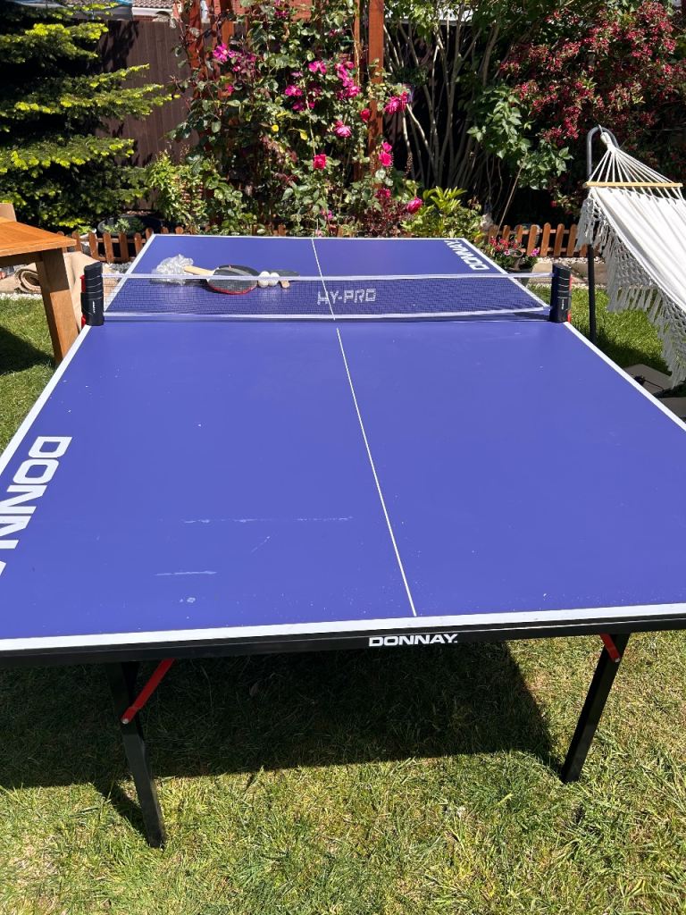 Tenis table