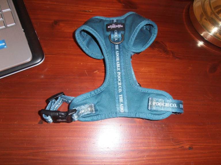 Dog Harness XS & Bits