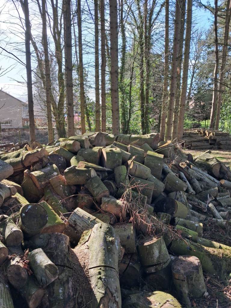 Hardwood Logs Firewood