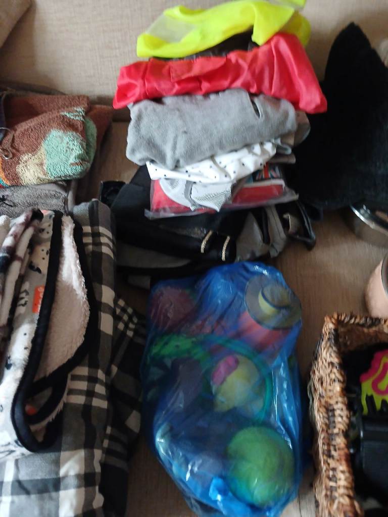 Large selection of dog stuff