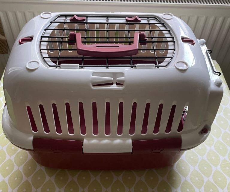 Small Pet Carrier