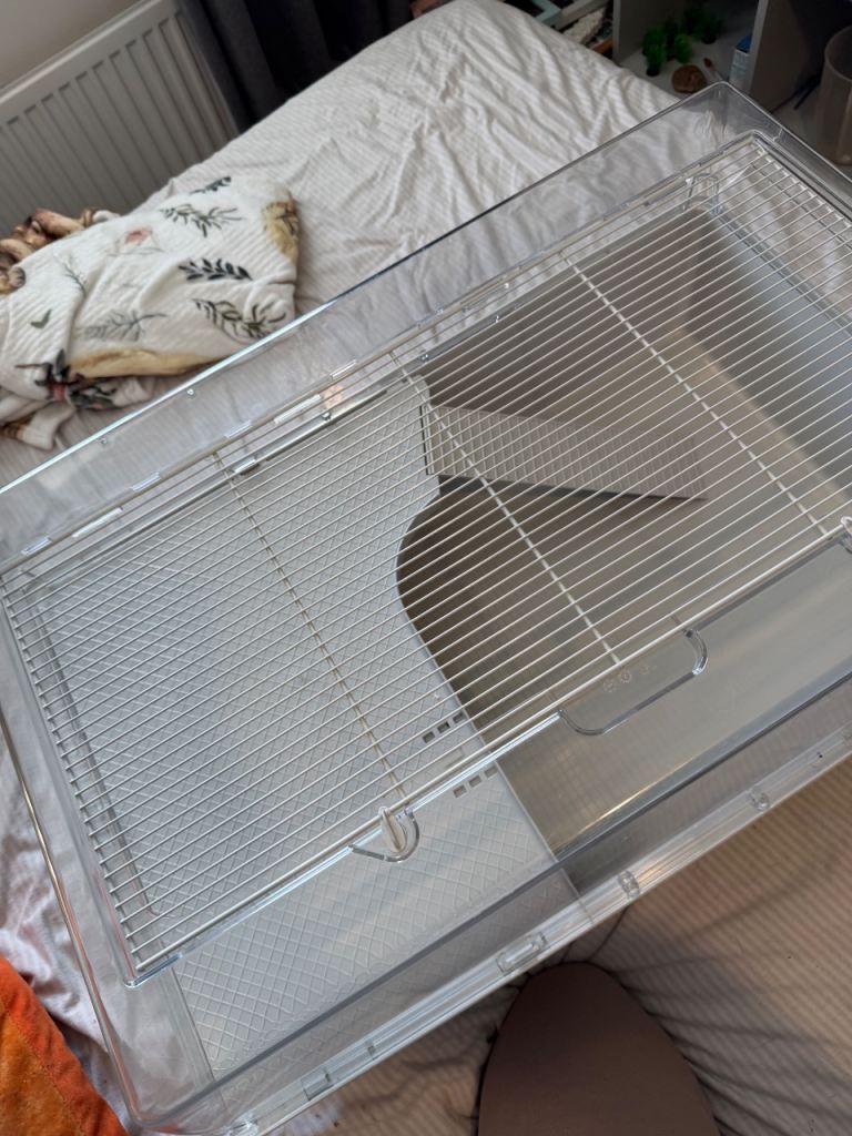 Temporary hamster cage 