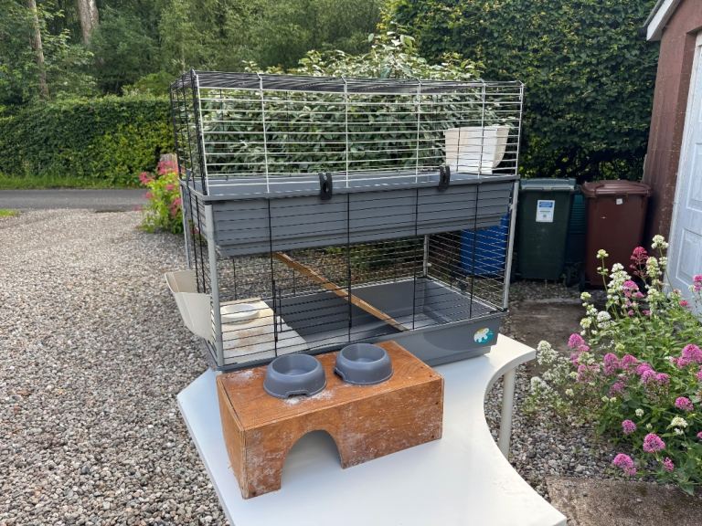 Guinea Pig Cage - two tier