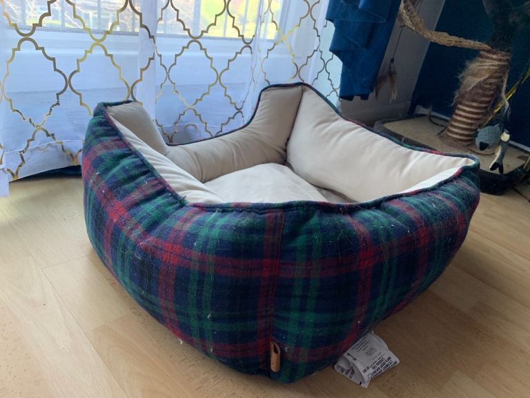 Cat bed