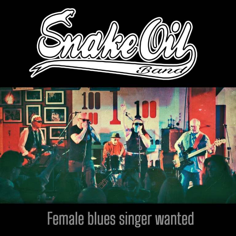 Female Blues Singer Wanted for established North London Blues Band
