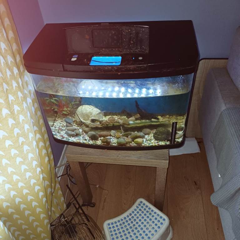 Small Fish Tank / Aquarium with Lid and Light