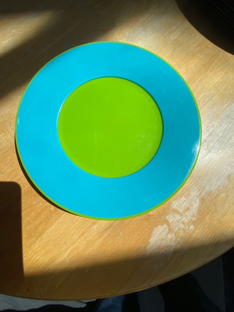 x4 plastic plates 24cm