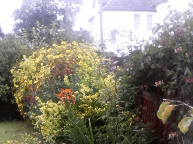 Urgent : Swap Council Flats - 1 Bed Garden for swap for Very large Council flat 