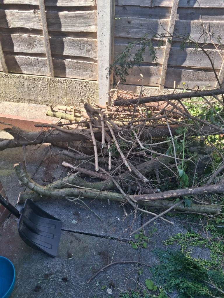 FREE: Large Wood Burner Logs and Branches for Firewood