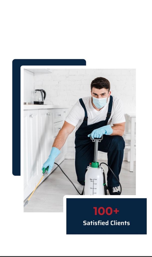 24/7 pest control services Rat Mice Bedbugs cockroaches ants moths …. 
