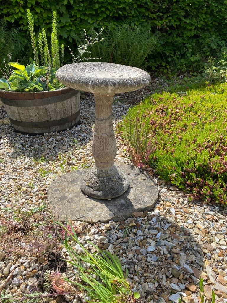 Bird Bath