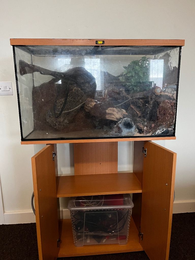 Old Crested gecko tank and stand