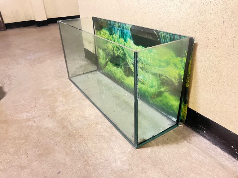 fish tank for sale