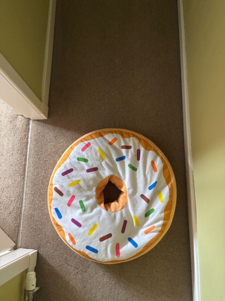 Donut Bean bag