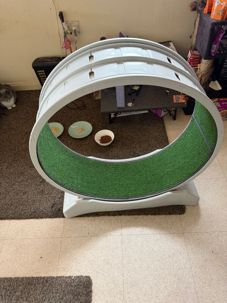 Large Cat / small dog Exercise Wheel Treadmill